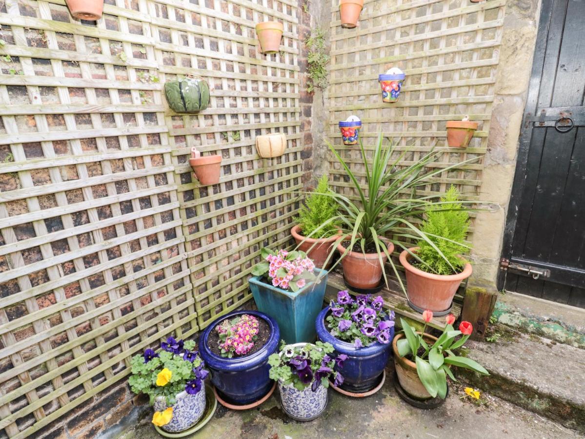 Coquet Cottage آمبل المظهر الخارجي الصورة